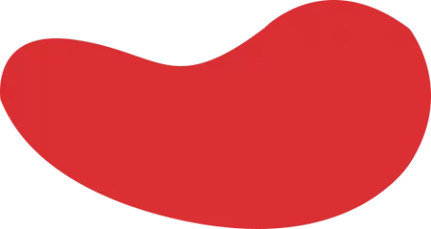 lol雷竞技娱乐-raybet官方下载